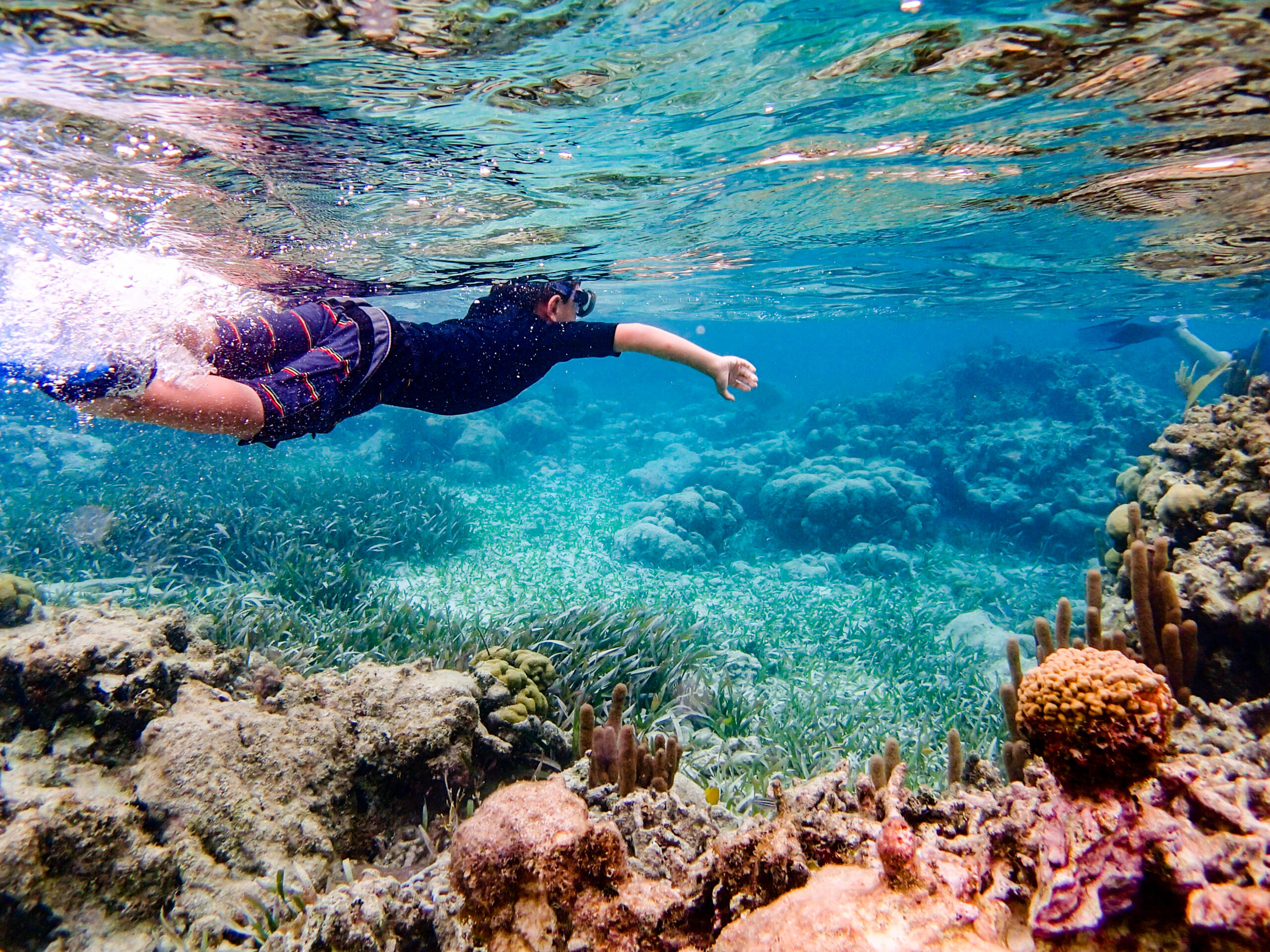 Underwater image of 7 year old boy snorkeling through coral reef near Ambergris Caye, Belize